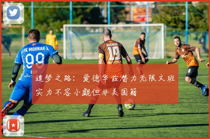 追梦之路：爱德华兹潜力无限文班实力不容小觑但非美国籍