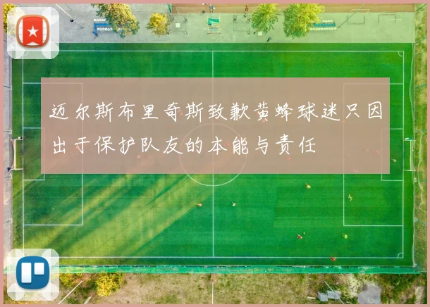迈尔斯布里奇斯致歉黄蜂球迷只因出于保护队友的本能与责任