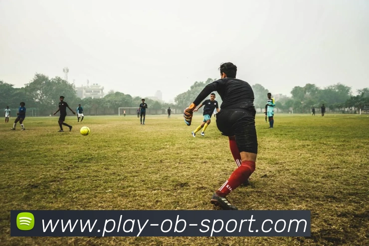 OB体育发展历程